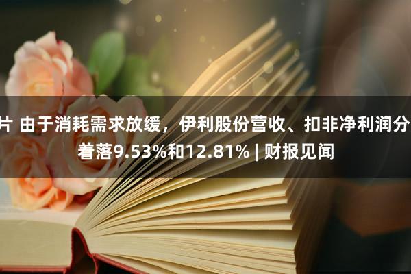 X片 由于消耗需求放缓，伊利股份营收、扣非净利润分离着落9.53%和12.81% | 财报见闻