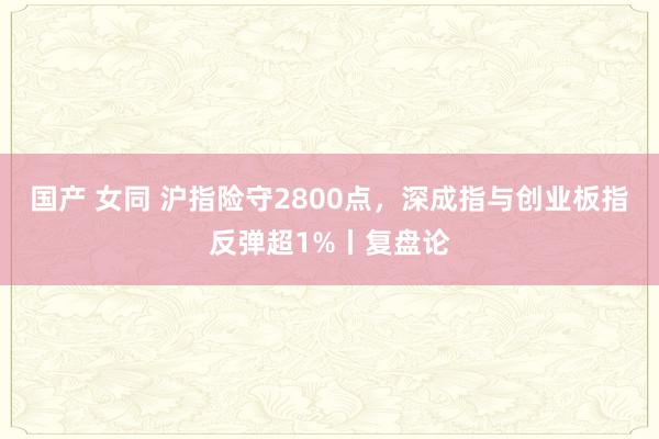 国产 女同 沪指险守2800点，深成指与创业板指反弹超1%丨复盘论