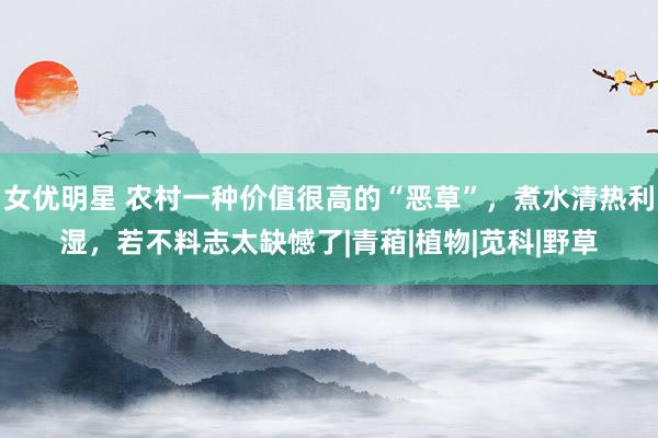 女优明星 农村一种价值很高的“恶草”，煮水清热利湿，若不料志太缺憾了|青葙|植物|苋科|野草