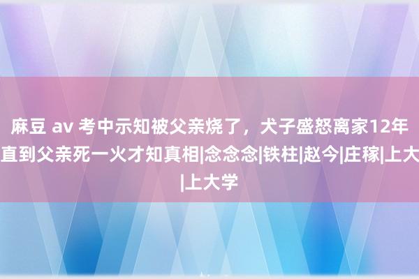 麻豆 av 考中示知被父亲烧了，犬子盛怒离家12年，直到父亲死一火才知真相|念念念|铁柱|赵今|庄稼|上大学