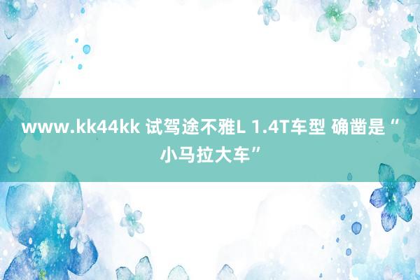 www.kk44kk 试驾途不雅L 1.4T车型 确凿是“小马拉大车”