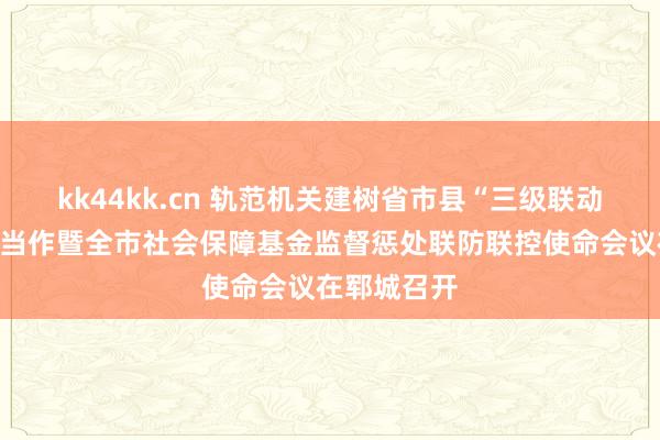 kk44kk.cn 轨范机关建树省市县“三级联动”党建共建当作暨全市社会保障基金监督惩处联防联控使命会议在郓城召开