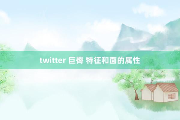 twitter 巨臀 特征和面的属性