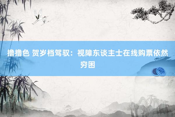 撸撸色 贺岁档驾驭：视障东谈主士在线购票依然穷困