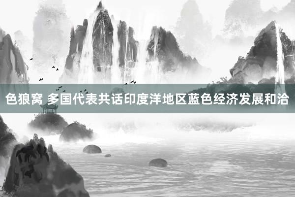 色狼窝 多国代表共话印度洋地区蓝色经济发展和洽