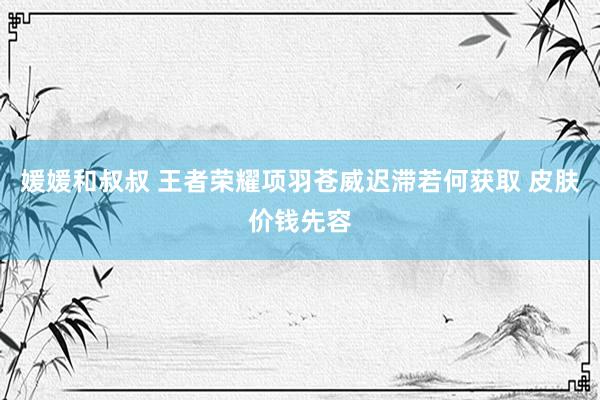 媛媛和叔叔 王者荣耀项羽苍威迟滞若何获取 皮肤价钱先容